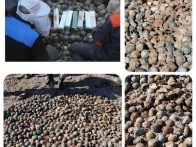 کشف و خنثی‌سازی ۹ هزار و پانصد بمبلت بجامانده از جنگ + عکس