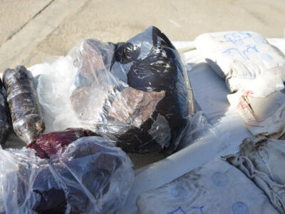 کشف ۲۶۰ کیلوگرم تریاک در عملیات مشترک پلیس هرمزگان