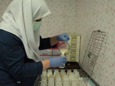 ۲۱۶ مادر داوطلب شیر اهدا کردند