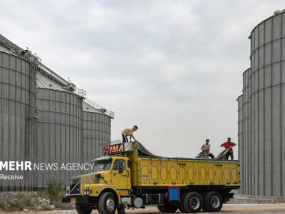 ۸۱۹ هزار تن کالای اساسی از طریق مناطق آزاد تأمین شد