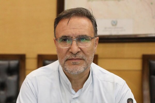 آریایینژاد: نظارتهای دارویی نیازمند اصلاح و بازنگری است