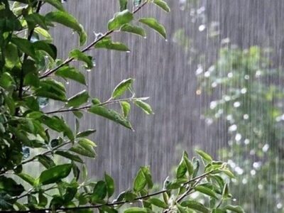 آسمان شمال و غرب تغییر کرد / هشدار بارش شدید در ۱۳ استان