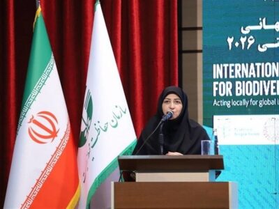 انصاری: یک میلیون و 340 هزار هکتار ‌اراضی تالابی ‌سند مالکیت گرفت