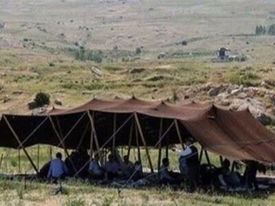 جامعه عشایری می‌توانند ایران را از واردات گوشت قرمز بی‌نیاز کنند