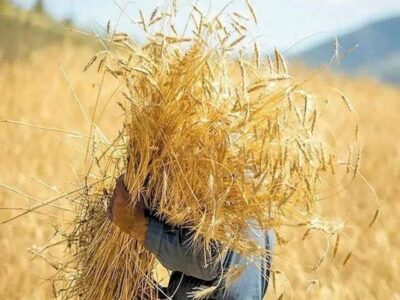 حکمرانی محلی و تاب‌آوری غذایی در شرایط جنگی