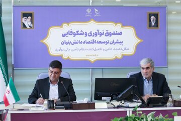 دیدار استاندار چهارمحال  وبختیاری با رئیس صندوق نوآوری وشکوفایی کشور /پیگیری برای تأمین مالی طرح‌های کلان و توسعه زیست‌بوم فناوری استان