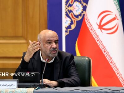 میدری: توسعه بازار مشاغل خانگی و تولید خانوادهمحور شتاب میگیرد