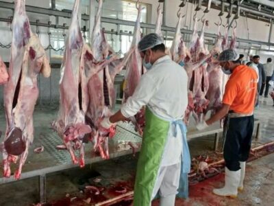 کریمی: ذبح قربانی در عید قربان بوشهر با نظارت کامل انجام شد