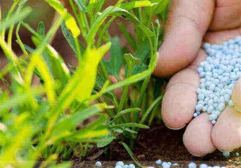 کشاورزی با سدی به نام قیمتهای نجومی کود مواجه است