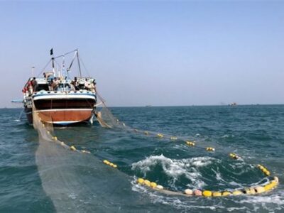 کشف 4.5 تُن ماهی ساردین فاقد مجوز در سواحل جنوبی استان بوشهر