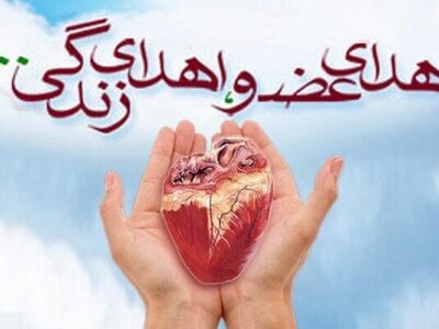 ۲۳۲ نفر در قزوین منتظر پیوند عضو هستند