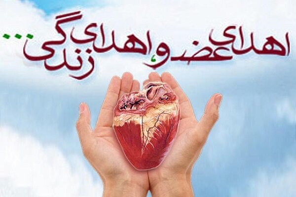 ۲۳۲ نفر در قزوین منتظر پیوند عضو هستند