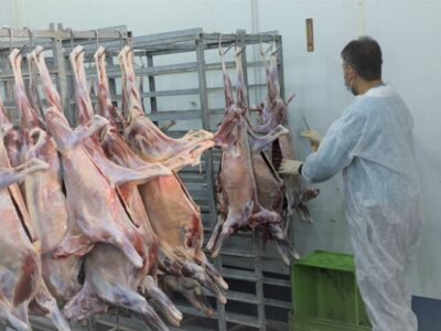 ۸۹ گروه دامپزشکی در اصفهان بر ذبح دام‌ قربانی نظارت می‌کنند