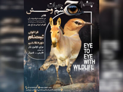 رویداد تجسمی «چشم در چشم حیاتوحش» برگزار میشود