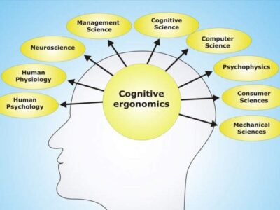 شناخت (Cognition) چیست ؟