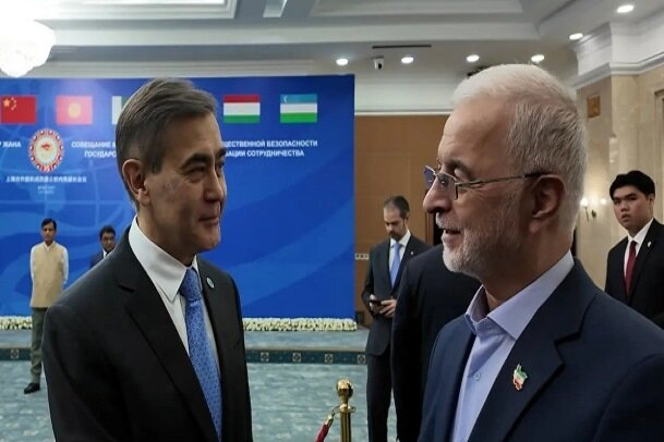 مومنی: سازمان همکاری‌ شانگهای بازیگری بسیار موثر در تحولات جهانی است