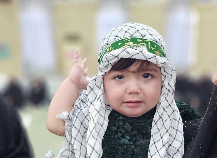 همایش شیرخوارگان حسینی در دیر برگزار شد