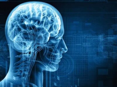 یادگیری زبانها میتواند مغز را جوانتر کند