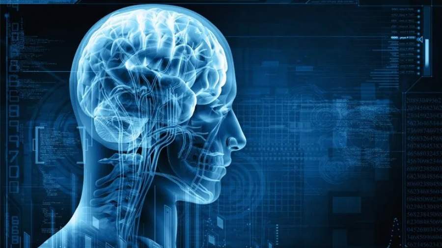یادگیری زبانها میتواند مغز را جوانتر کند