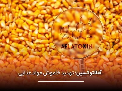 10 مسمومیت غذایی با بیشترین آمار تلفات در ایران از سال 1404 تاکنون