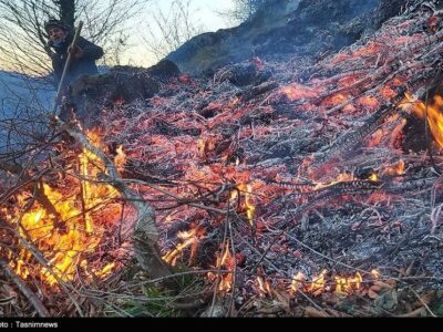 ببینید| آتش‌سوزی در جنگل‌های بهشهر/ هیرکانی دوباره می‌سوزد!