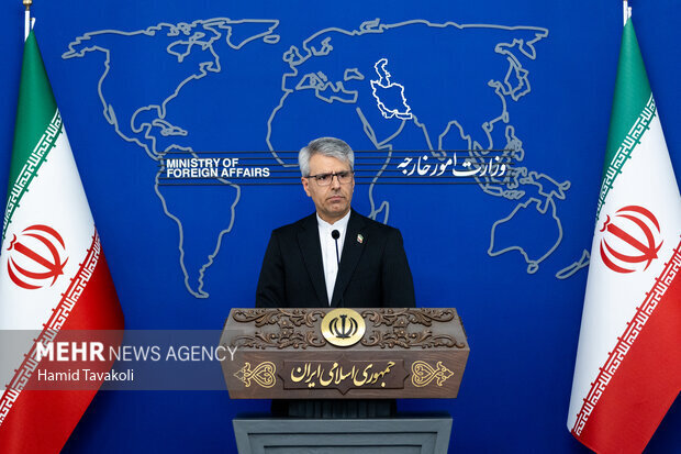 بقائی: اقتدار ملی تنها عامل بازدارنده در برابر زیاده‌خواهی بیگانه است