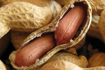 اخبار،اخبار جدید،اخبار روز
