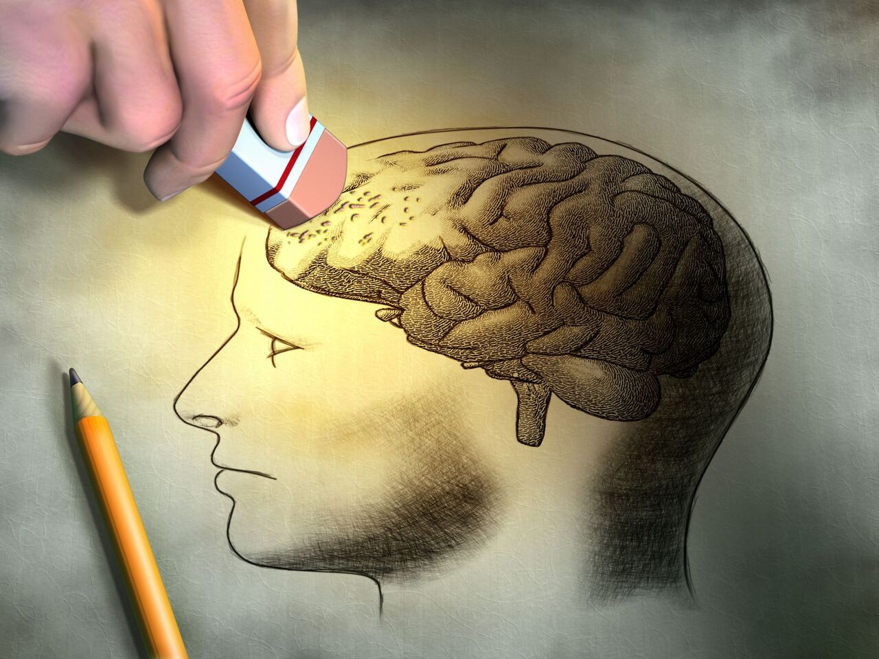 اخبار،اخبار جدید،اخبار روز
