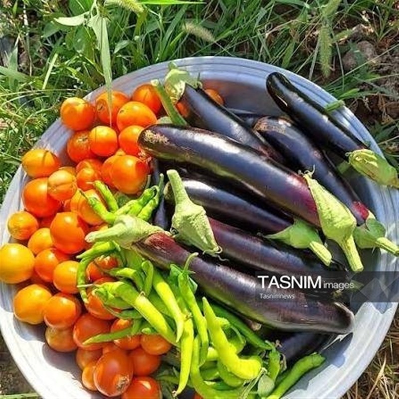 سفر به قلب هویت و اصالت گیلان؛ روزگار پرمهر و سبک زندگی اصیل سفر به قلب هویت و اصالت گیلان؛ روزگار پرمهر و سبک زندگی اصیل
