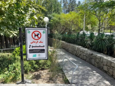 ممنوعیت سگ‌گردانی در بوستان‌ها و فضاهای سبز مشهد