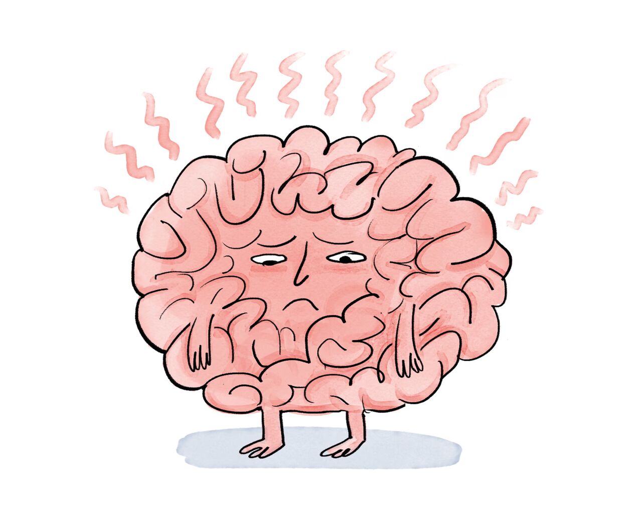 اخبار،اخبار جدید،اخبار روز