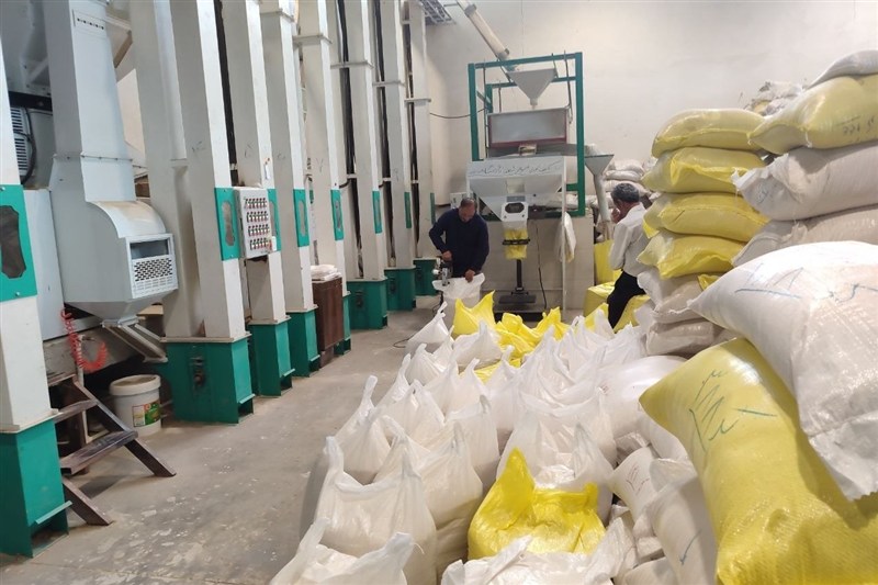 نظام مسائل استان گیلان , اخبار استان گیلان , واردات برنج , کشاورزی , 