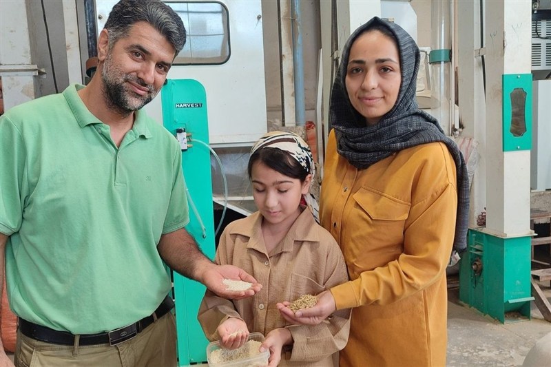 نظام مسائل استان گیلان , اخبار استان گیلان , واردات برنج , کشاورزی , 