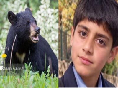 تعارض حیات وحش و انسان ها در جنوب کرمان؛ یک نوجوان توسط خرس کشته شد