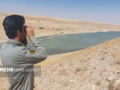 دریکوند: پایش آنفلوآنزای فوق حاد پرندگان در فاروج آغاز شد