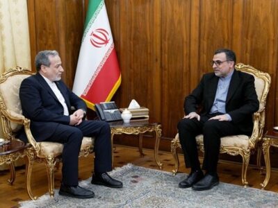  دیدار سفیر ایران نزد سازمان همکاری اسلامی با عراقچی