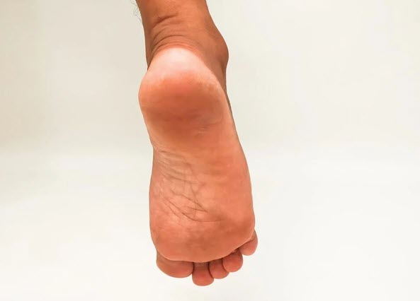 اخبار،اخبار جدید،اخبار روز