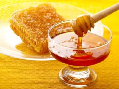 روایت تسنیم از زنبورداری ‌در طالقان/ بازار در تسخیر عسل‌ تقلبی!