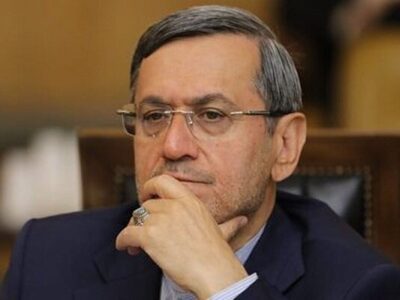 عدم صدور ویزا برای رئیس سازمان انرژی اتمی برخلاف پروتکل جهانی است