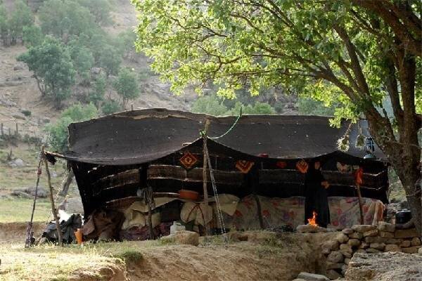 عشایر میان کوچ و بروکراسی؛ قوانین دست‌وپاگیر بر سر راه زندگی