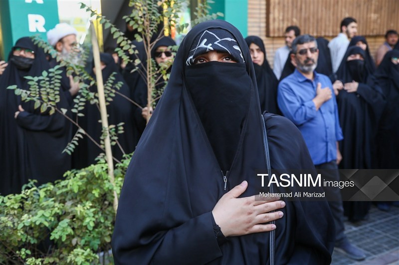 حضرت معصومه (س) , مراجع عظام , اخبار قم , 