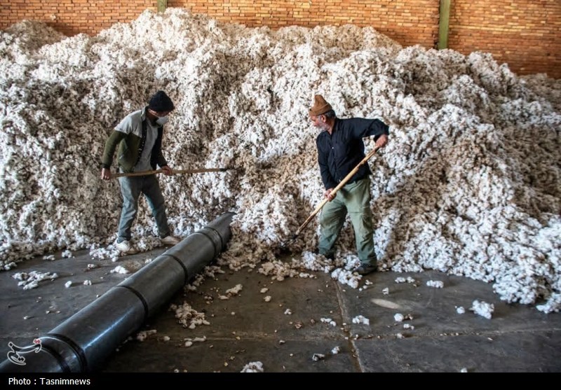 اخبار استان گلستان , کشاورزی , نظام مسائل استان گلستان , نظام مسائل استان , 