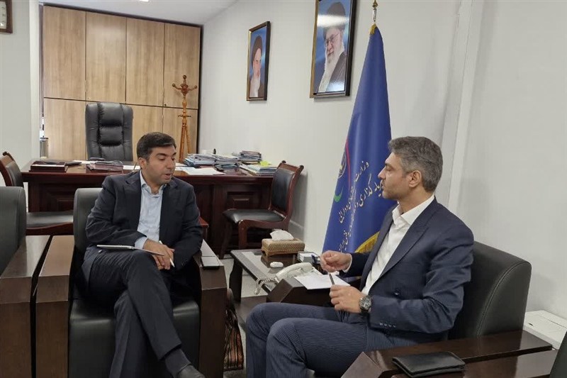 معاون وزیر:ایجاد منطقه آزاد مشترک ایران، افغانستان و چین پیگیری می‌شود