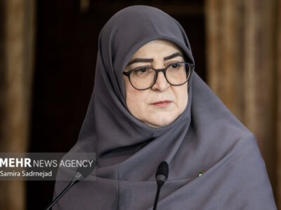 مهاجرانی: آنچه انجام شده تمام توان دولت است