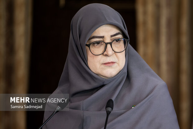 مهاجرانی: آنچه انجام شده تمام توان دولت است