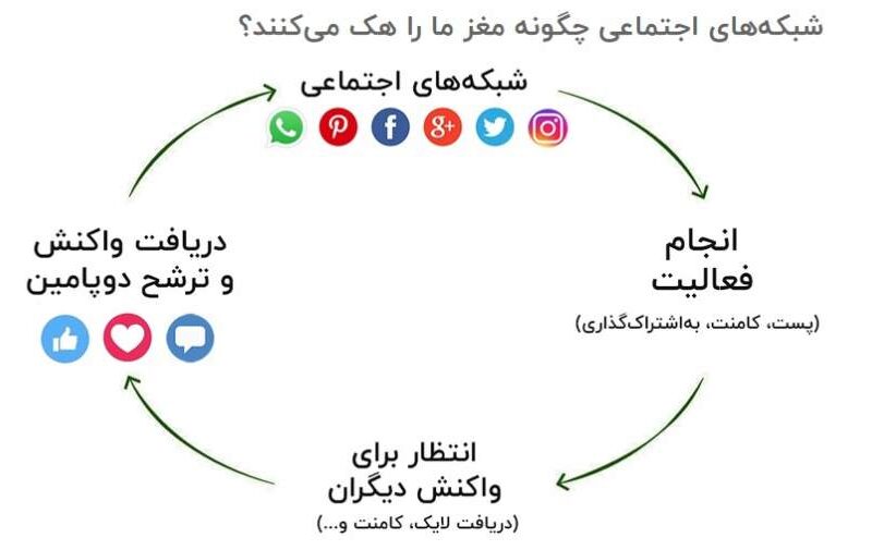 نقش هورمون‌ها در استفاده از شبکه‌های اجتماعی؛ دوپامین، کورتیزول و خواب