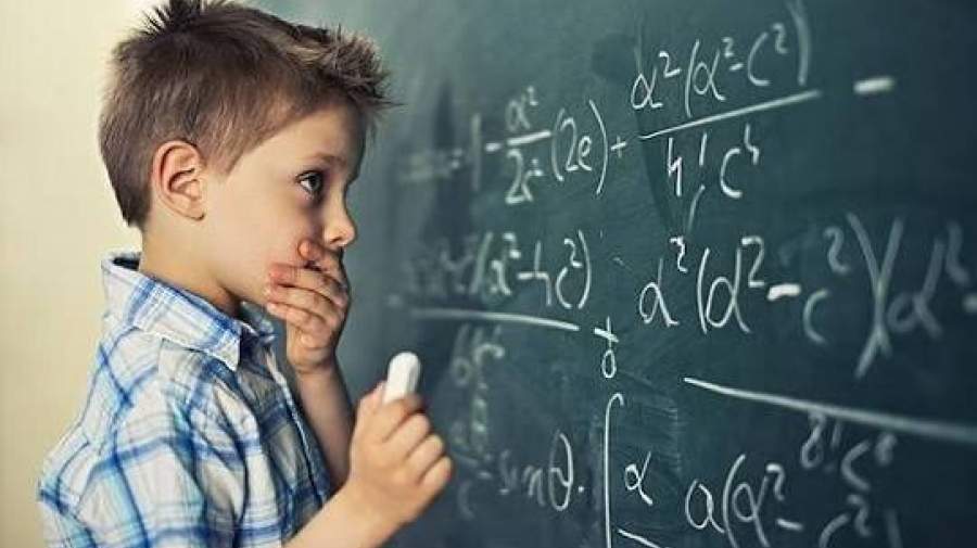 هوش از طرف پدر به ارث می‌رسد، یا مادر؟
