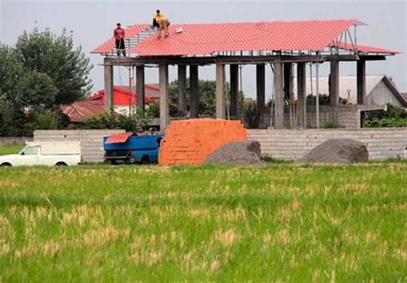 جنگ ‌بر سر زمین‌های کشاورزی شمال/ چالش تداخلات اراضی بین مردم و دولت