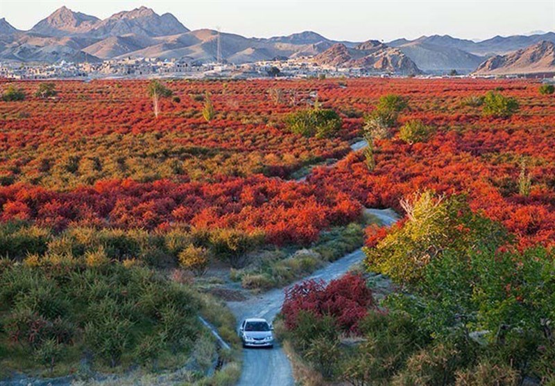 اخبار استان خراسان جنوبی , خبرگزاری تسنیم , گردشگری , 