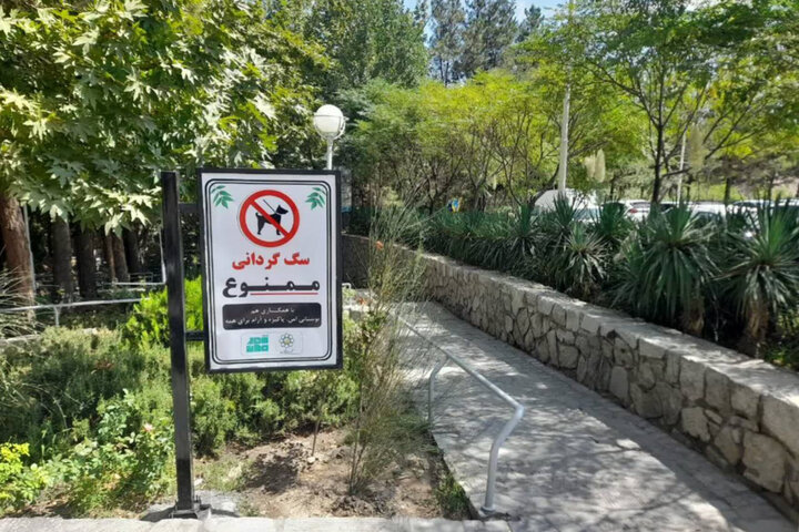 سگ‌گردانی؛ سبک زندگی جدید یا پاسخی به تنهایی و انزوای شهری؟